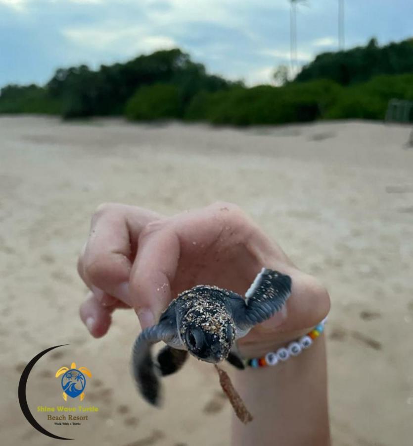 Shine Wave Turtle Beach Tangalle Exteriér fotografie