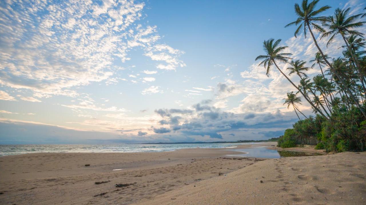 Shine Wave Turtle Beach Tangalle Exteriér fotografie