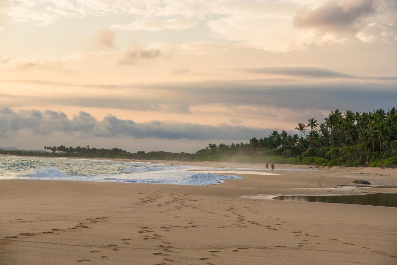 Shine Wave Turtle Beach Tangalle Exteriér fotografie