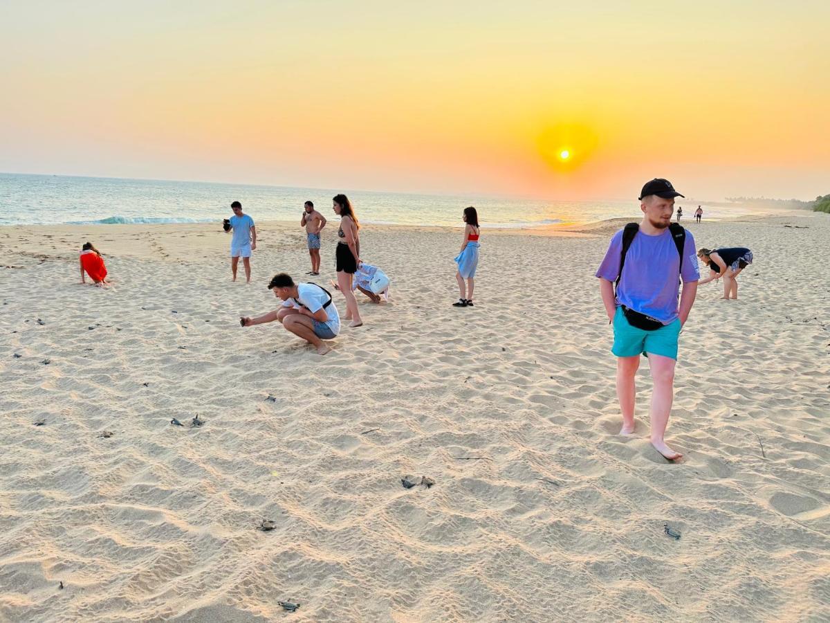 Shine Wave Turtle Beach Tangalle Exteriér fotografie