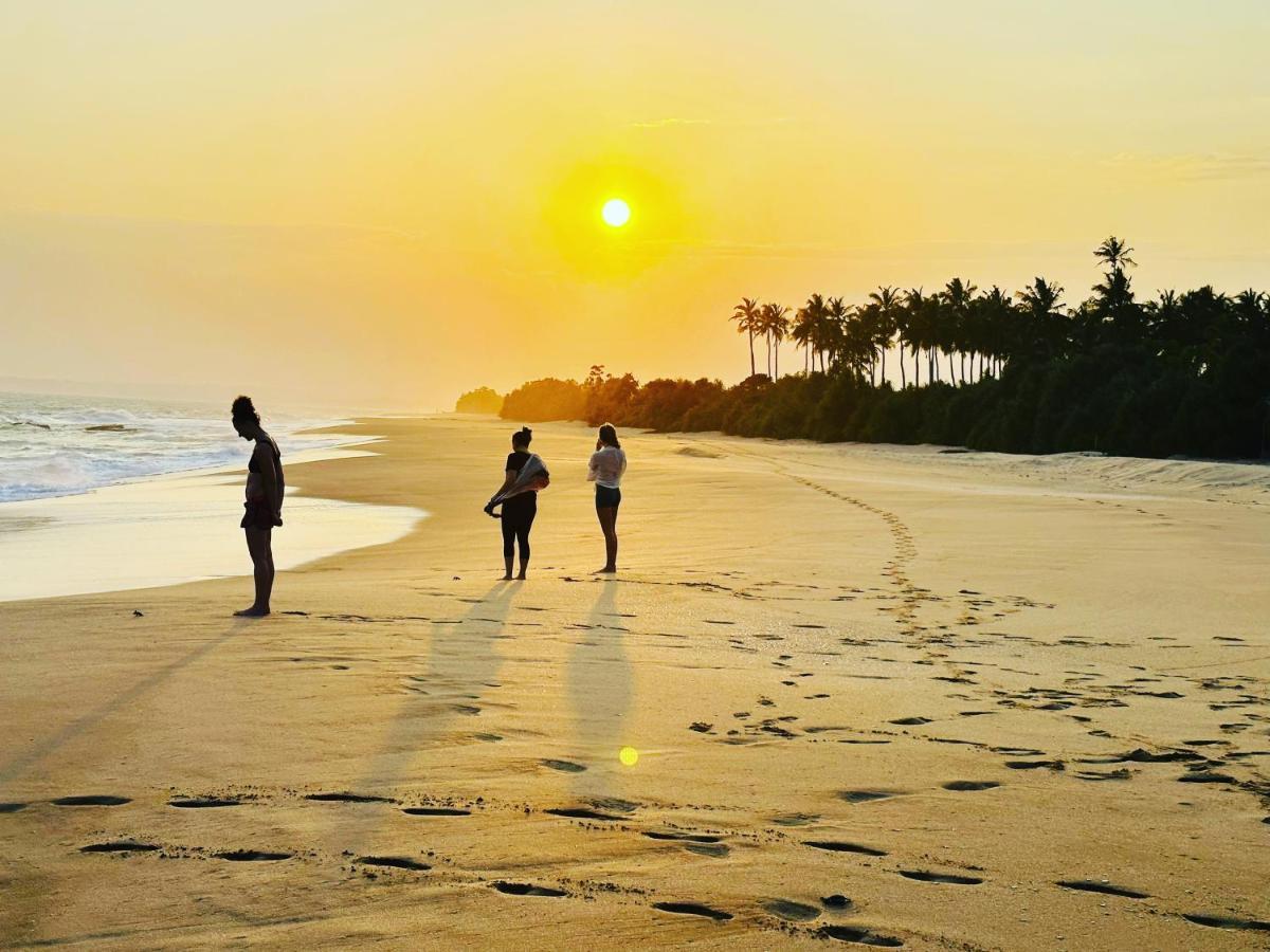 Shine Wave Turtle Beach Tangalle Exteriér fotografie