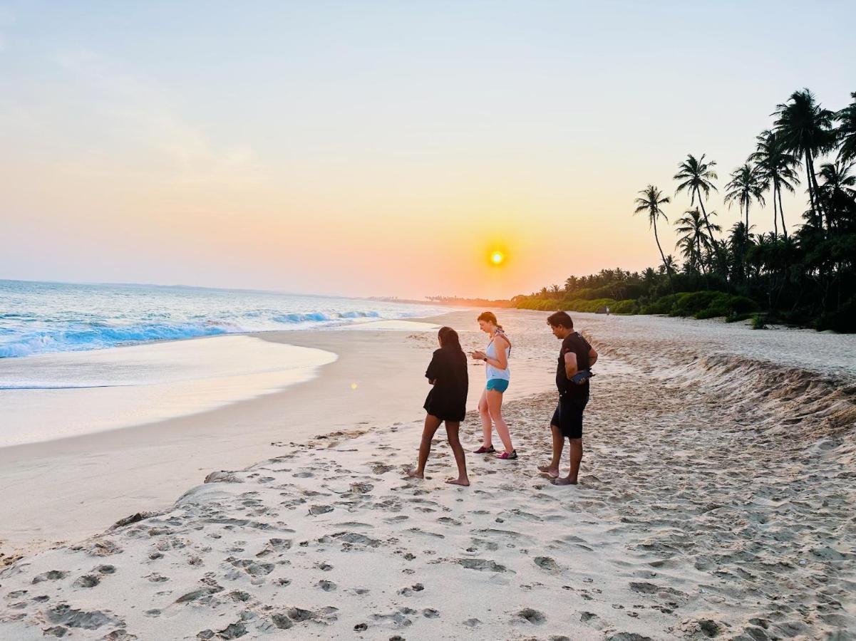 Shine Wave Turtle Beach Tangalle Exteriér fotografie