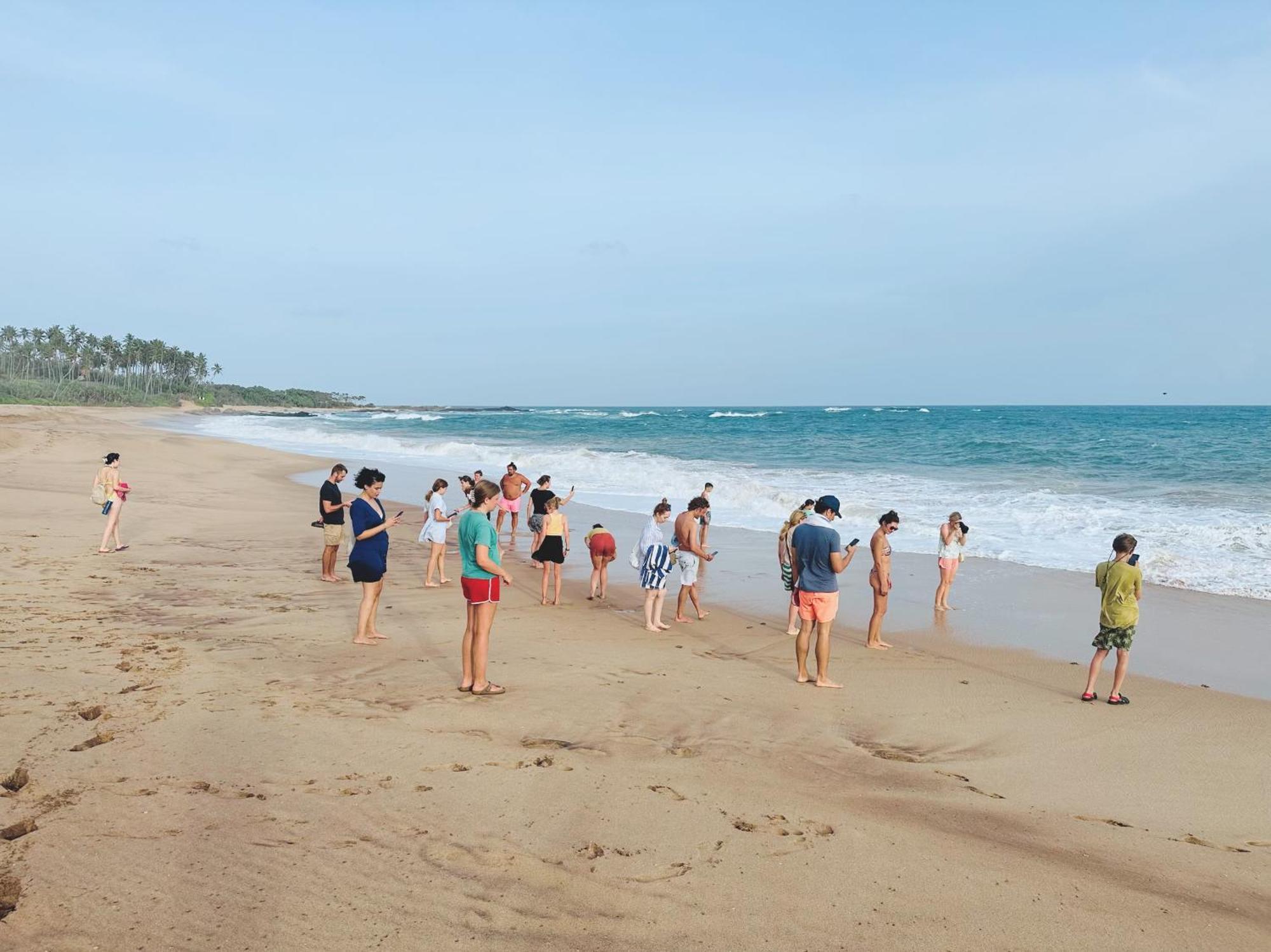 Shine Wave Turtle Beach Tangalle Exteriér fotografie