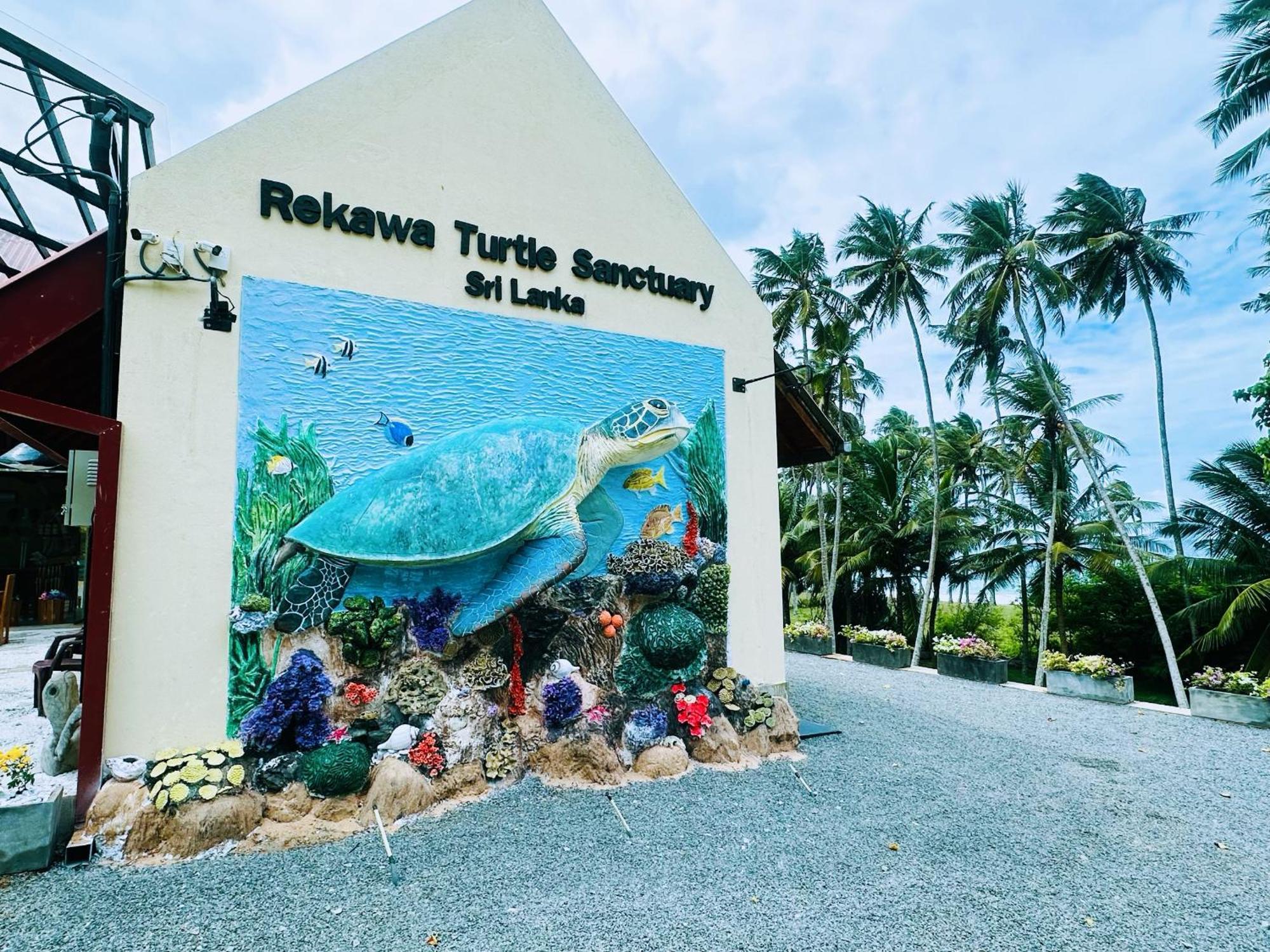 Shine Wave Turtle Beach Tangalle Exteriér fotografie